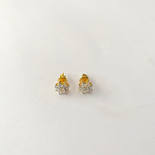 Gold Plated Pure Silver 92.5 Earring