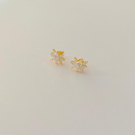 Gold Plated Pure Silver 92.5 Earring Design 2