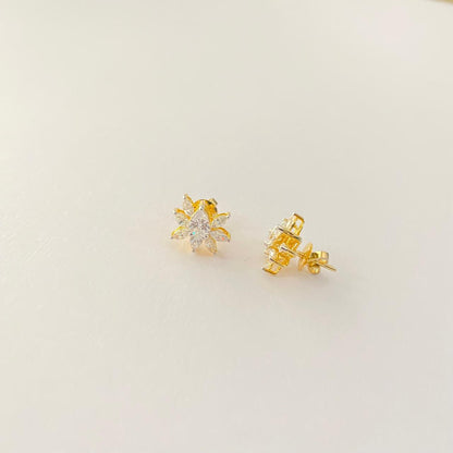 Gold Plated Pure Silver 92.5 Earring Design 2
