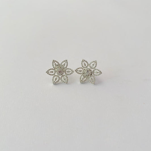 silver Plated with diamond latest design Earring.